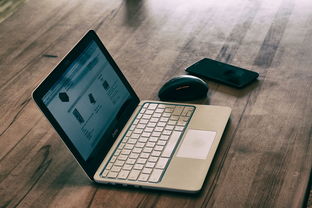 抖音月付闪付套出来POS，深度解析与实用指南