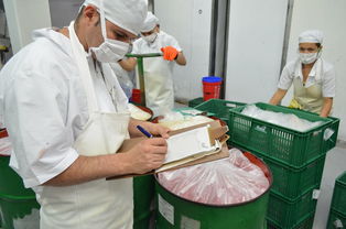 大学生必买玩具品牌全解析