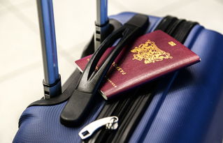 欧洲旅游必备—盘点那些让你旅途更舒适的牙刷品牌
