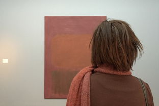 西服衬布品牌解析，品质、风格与选择的艺术