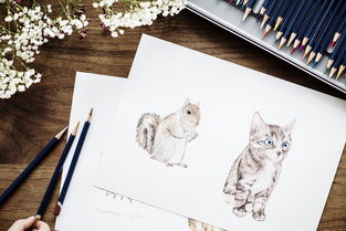 猫咪专用铅笔推荐品牌全解析