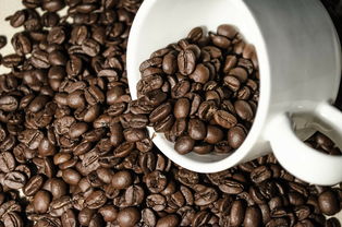 动物品牌奶茶图片大全，潮流与口感并存的时尚饮品