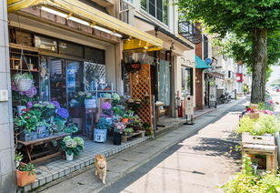 童车品牌苏州有哪些店名—一份详尽的探店攻略