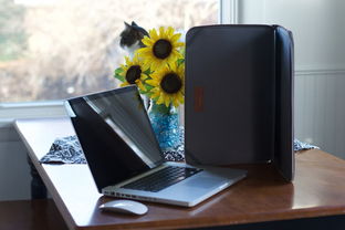 揭秘MacBook鼠标电池品牌，选对品牌，告别续航焦虑！