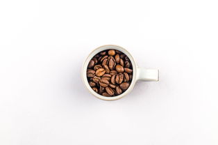 微信上打造立秋奶茶品牌，从一杯清甜开始，走向千万消费者的心头