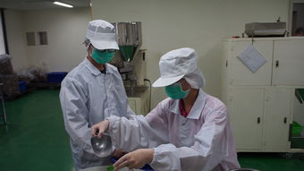 品牌卫生纸加工车间设计详解，打造高效、安全的生产环境