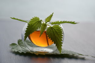 南阳茶叶品牌，一片绿叶的崛起之路