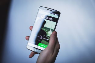 抖音月付苹果专用额度提现全攻略，操作指南与注意事项