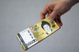 京东白条购物如何实现资金周转？