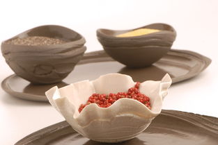亲民陶瓷餐具品牌，品质生活从碗开始
