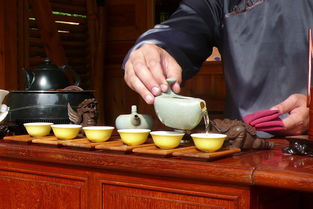 梵叶品牌茶叶，传统工艺与现代品质的完美融合