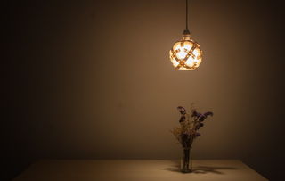探索伟来灯饰灯具品牌的魅力与实力