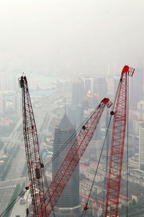 国产果树收割机品牌大比拼，看谁领跑市场！