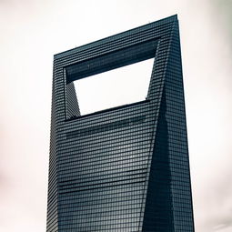 中国十大板材品牌 木业概览