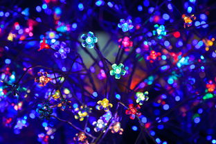 LED品牌灯具的选购指南