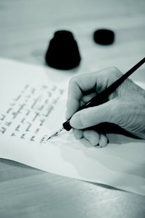 书法品牌字体设计图，传承与创新的艺术碰撞