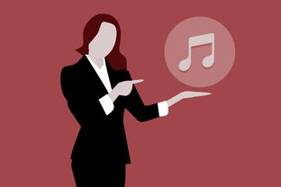 抖音月付套出来怎么找商家