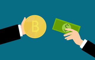 白条的钱也样可以提现—轻松实现资金周转