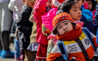 外国幼儿园户外玩具品牌深度解析