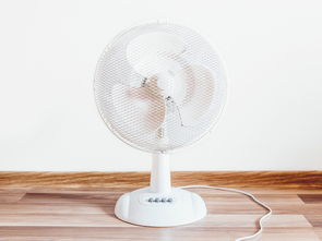 清洁墙面拖把推荐品牌全解析，实用案例助你选对工具