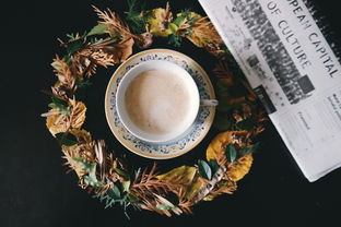 茶花水杯品牌深度解析，从设计到市场的全方位扫描