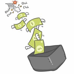 分期乐购物体验与资金周转策略