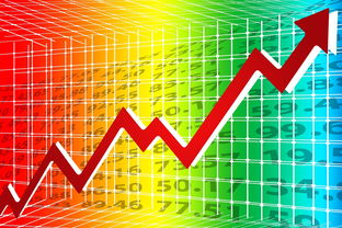 京东白条取现全解析，资金流向与风险提示
