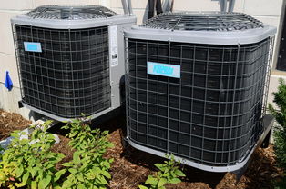 打造清新家居环境—品牌空气净化器家用指南