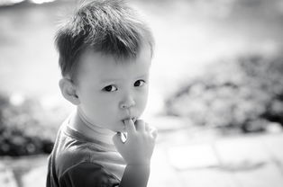 盘点那些让人眼前一亮的小孩玩机器人品牌，你家孩子喜欢哪个？