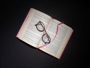 坚果品牌英文表达全解析