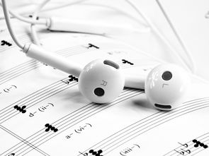广东省音乐耳机品牌深度解析
