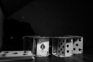揭秘黑色的水龙头品牌，独特设计背后的故事与魅力