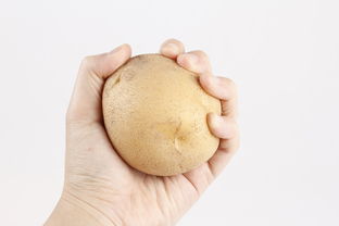如何挑选合适的卫生巾—卫生巾品牌挑选技巧全攻略