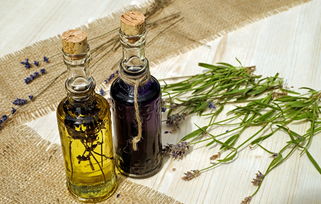 北方好用的面膜品牌大解析