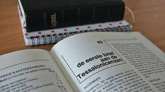 童车品牌专利申请全攻略，从入门到精通，一篇文章带你全明白