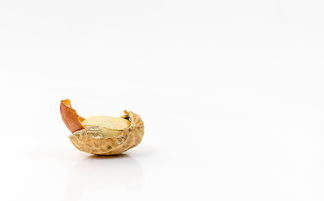 俄罗斯进口花生坚果品牌深度解析