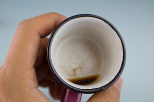 揭秘水杯排行品牌，哪些品牌让你爱不释手？