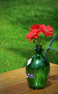 陶瓷品牌花瓶酒十大排名，品味传统与现代的交融之美