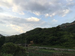 湄潭茶叶品牌好在哪？一篇带你了解