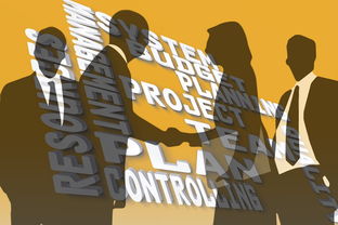白条取现攻略，如何实现免费取现？