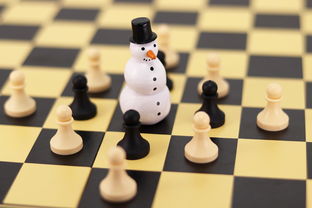 棋类墙面玩具推荐品牌，玩转智慧与乐趣的完美结合