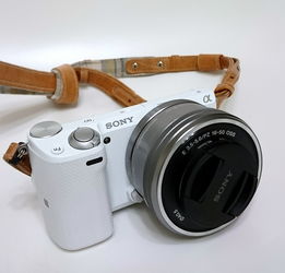 索尼品牌耳机配色分析，多彩世界中的时尚与品味之选