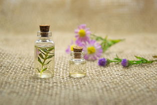 运动品牌女士沐浴露，洗护新体验，焕发女性活力