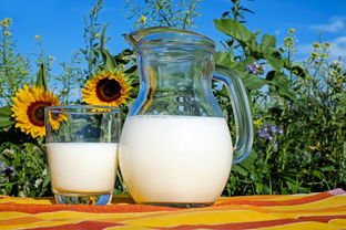 夏日炎炎，宝宝水杯品牌盘点，清凉一夏，呵护宝宝饮水健康