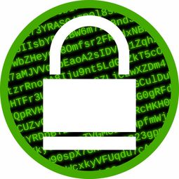 最新的微信分付提现攻略，一步步教你如何操作