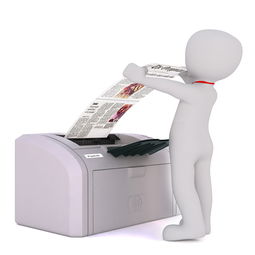 揭秘当下热门的3D相机品牌，深度解析与案例分享