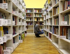 湘西舞蹈学校品牌加盟指南
