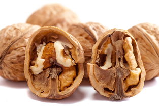 大型瓜子坚果品牌有哪些？一文带你了解