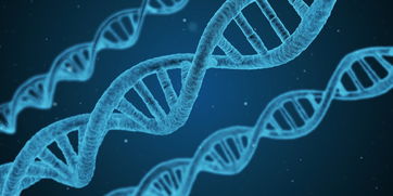 打印人体成新风口！揭秘全球最火的3D生物打印品牌如何改写医疗艺术史