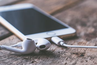 抖音月付，手机上能提现吗？一篇文章带你了解清楚
